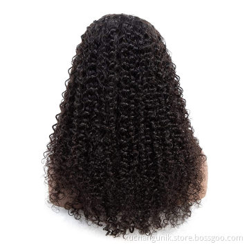 100% Unprocessed Remy Hair Kinky Curly Lace Closure Wig Human Hair Direct Factory Price 4*4 Malaysian Virgin Human Hair Wig